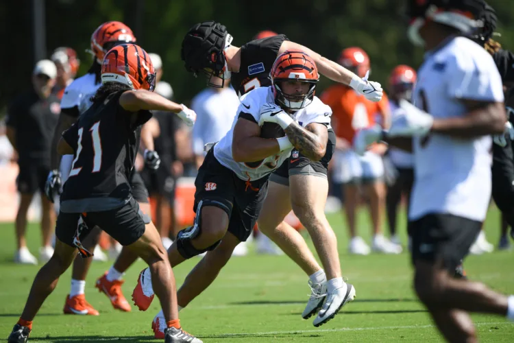 Erick All Jr. Is Back From A Knee Injury And Shining In Bengals Training Camp